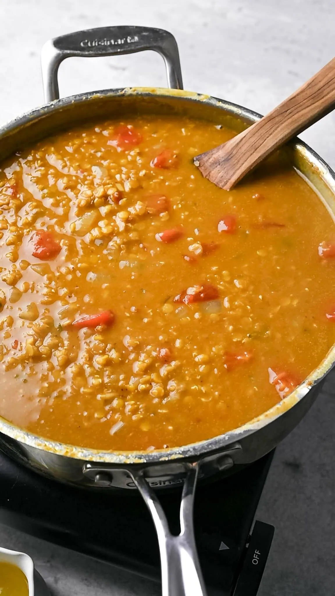 Red Lentil Dahl Curry Recipe with Cuisinart Multi Cooker