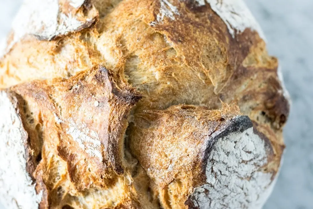 overnight artisan walnut bread