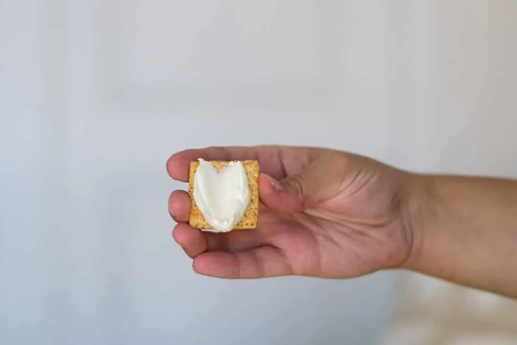 creamy vegan almond cheese