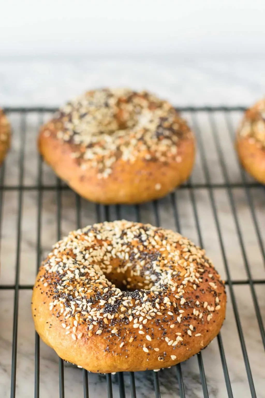 New York Chewy Bagels Food Processor Mixing Method