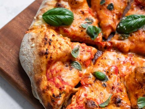 Lid for Plastic Pizza Dough Pan
