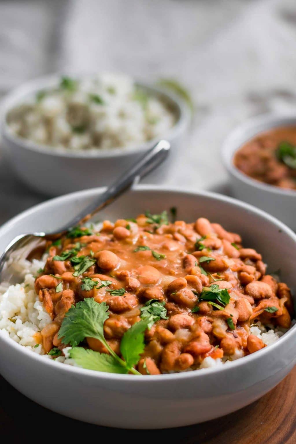 Mexican Pinto Beans and Tomatillo Cilantro Lime Rice • The Curious Chickpea