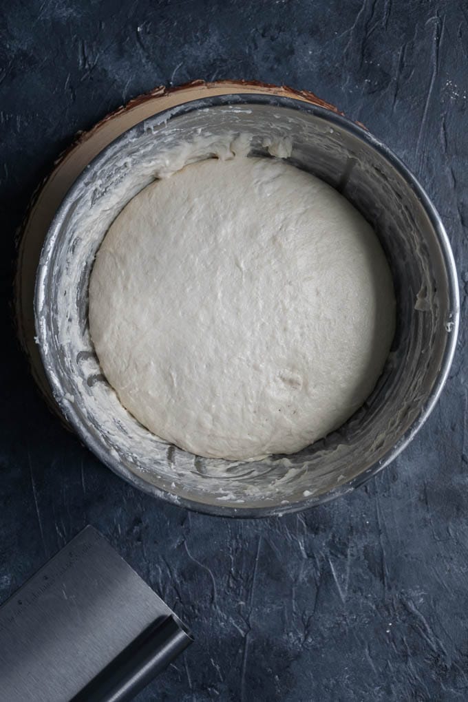 naan dough after the first rise