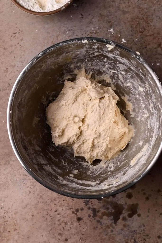naan dough after kneading in a mixing bowl