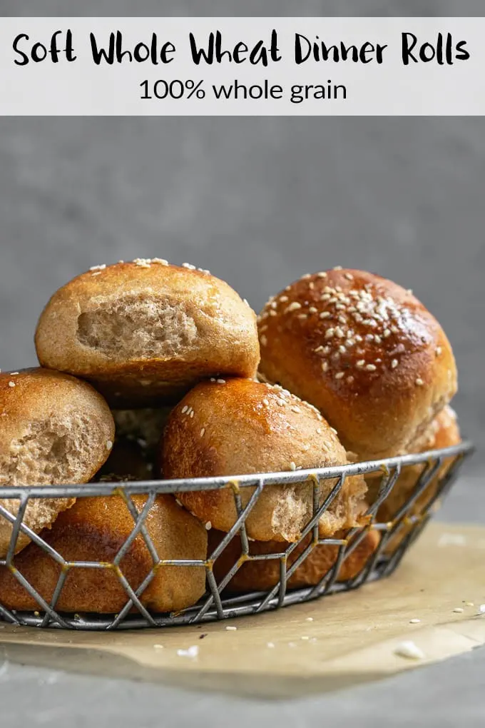 These soft whole wheat dinner rolls are made with 100% whole wheat flour and bake up so pillowy and tender. They are perfect for serving alongside soup, salad, light meals or your holiday meals! | thecuriouschickpea.com #vegan #thanksgiving #rolls #bread #wholewheat