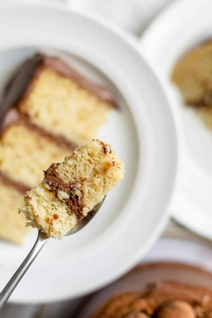 A bite of vegan hazelnut cake frosted with a whipped chocolate ganache