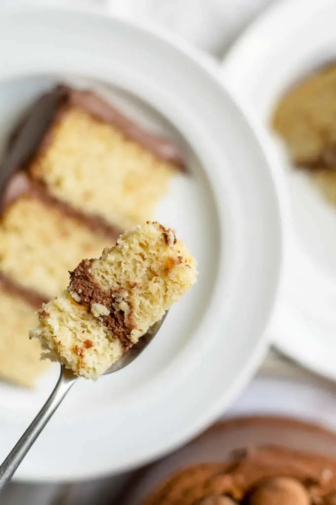 A bite of vegan hazelnut cake frosted with a whipped chocolate ganache