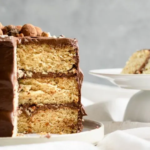 A three layer vegan hazelnut cake frosted with whipped chocolate ganache.