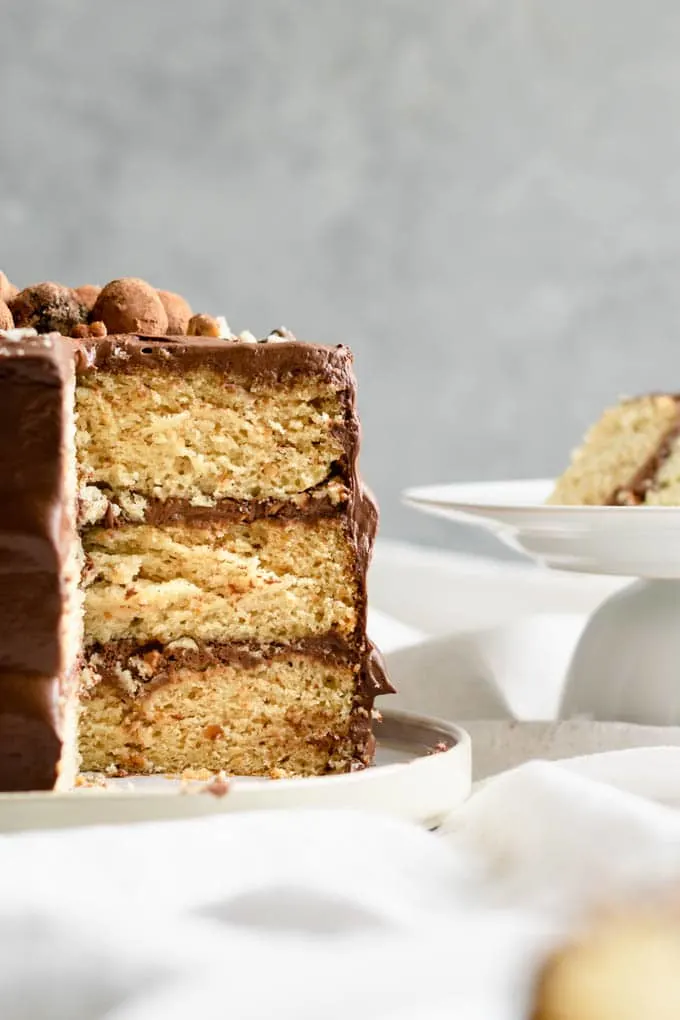 A three layer vegan hazelnut cake frosted with whipped chocolate ganache.