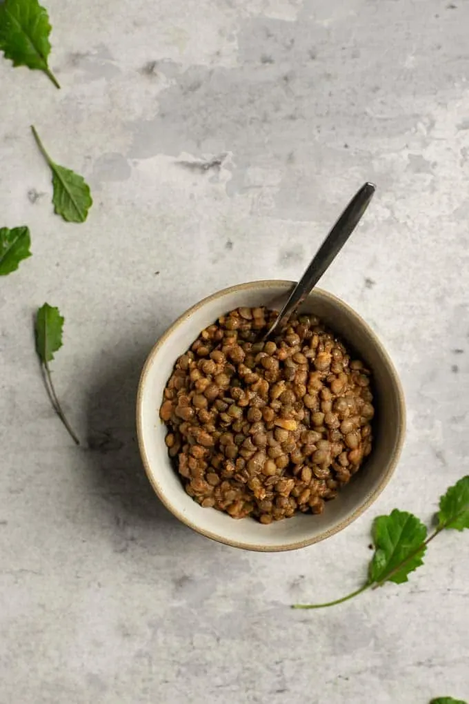 smoky lentils du puy in a bowl with some baby kale to garnish the photo