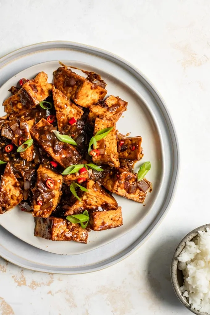 tofu with black bean sauce on a plate served with rice