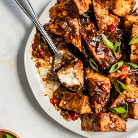 tofu with black bean sauce serve on a plate, one piece of tofu on a spoon has a bite out of it to show the texture