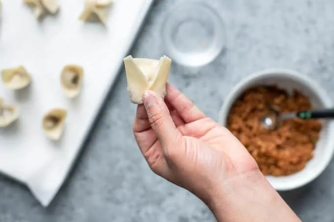 dumpling wonton shape folding step 4: pinch to seal the bottom corners of the rectangle together