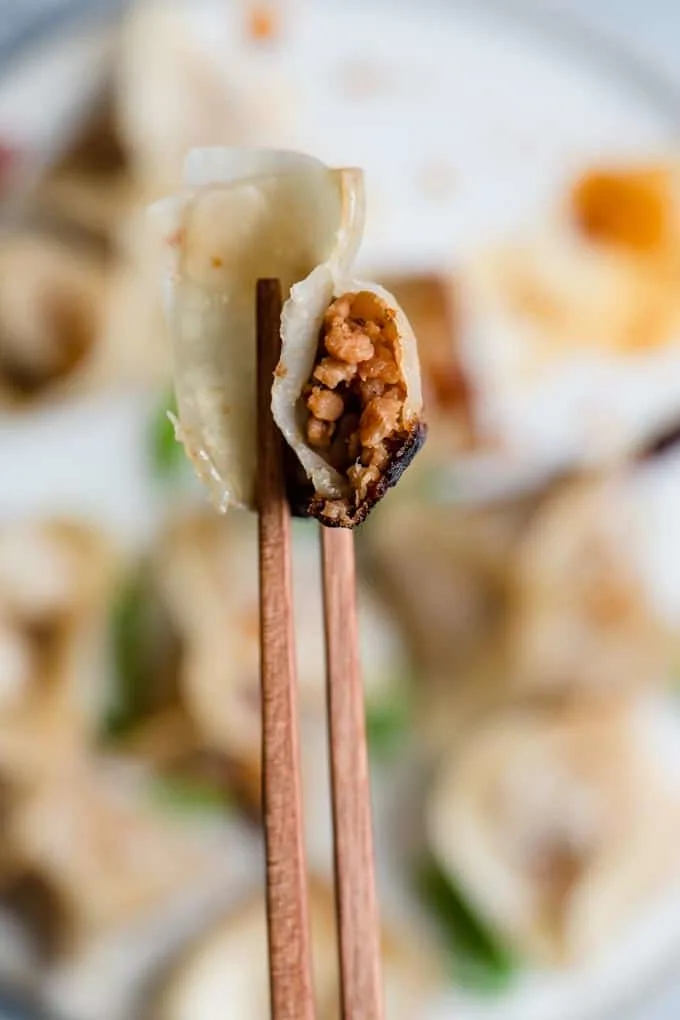 bite shot of steamed and pan fried dumplings