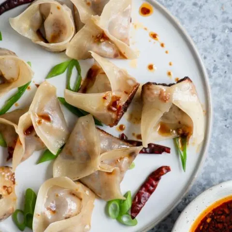 pan fried and steamed wontons