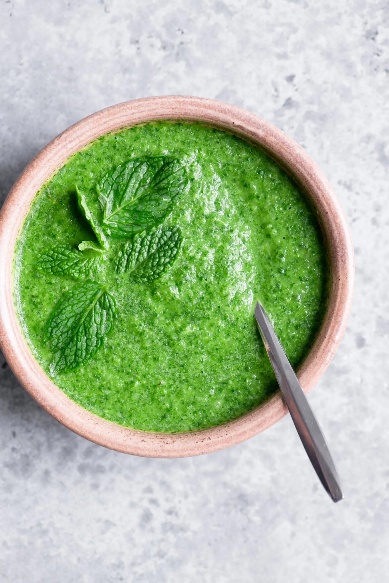 homemade cilantro chutney garnished with mint leaves