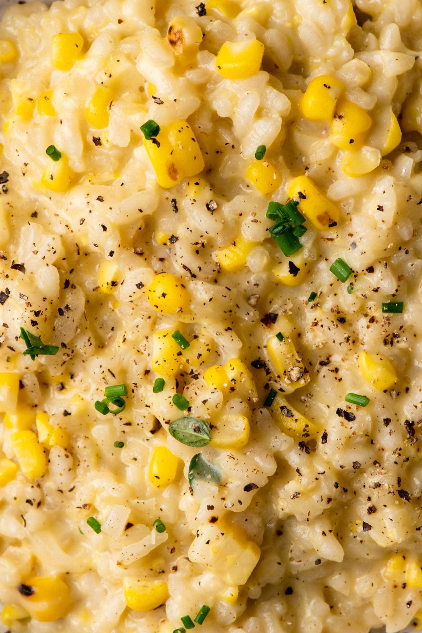closeup of the sweet corn risotto, garnished with chives and black pepper