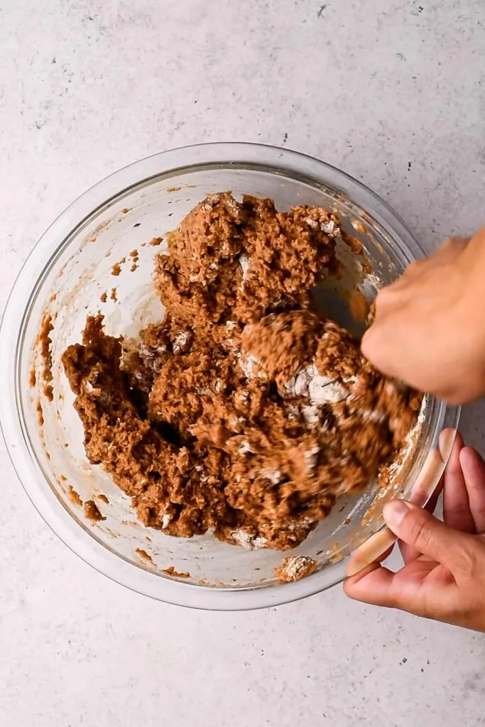 seitan dough