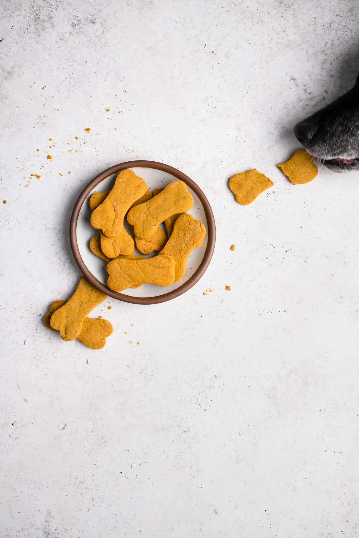 dog stealing a biscuit off the table