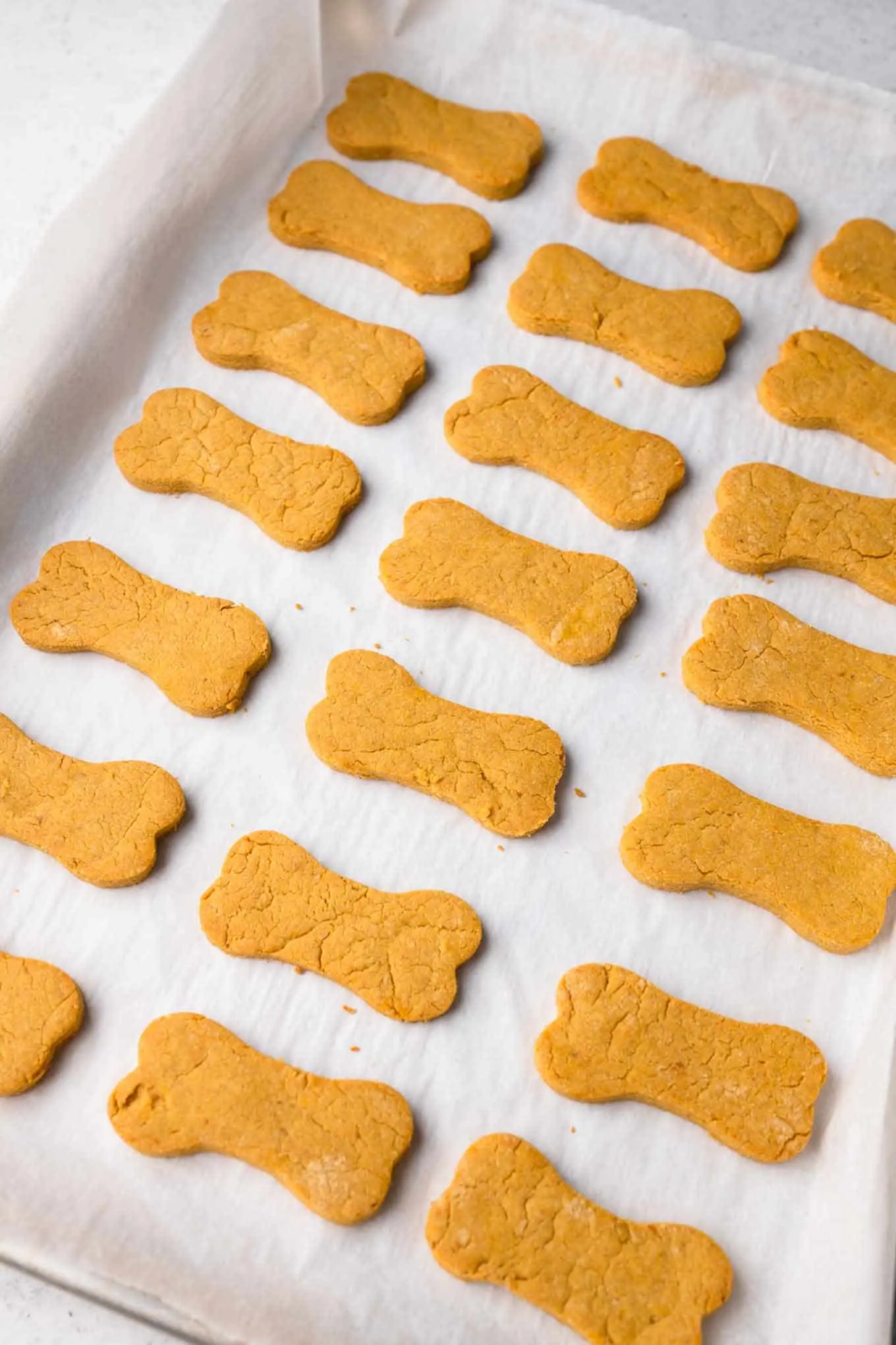 baked dog treats on baking tray