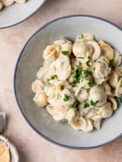 vegan creamy garlic noodles garnished with minced parsley